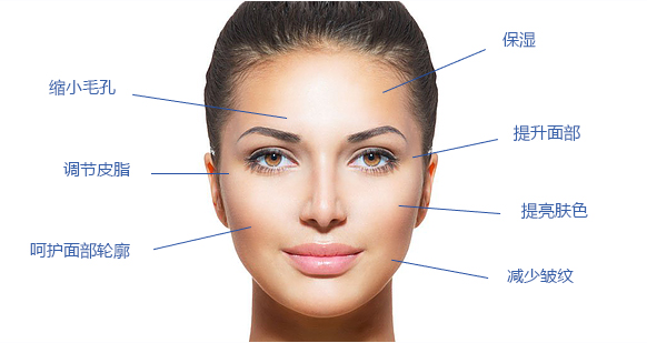 缩小毛孔, 保湿, 调节皮脂, 呵护面部轮廓, 提升面部, 提亮肤色, 减少皱纹
